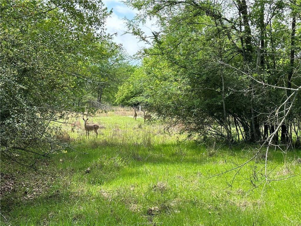 00 Hickory Loop Road, Thornton, TX 76687