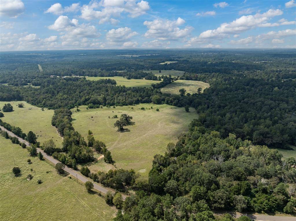 Palestine, TX 75801,Tract 1A An County Road 153