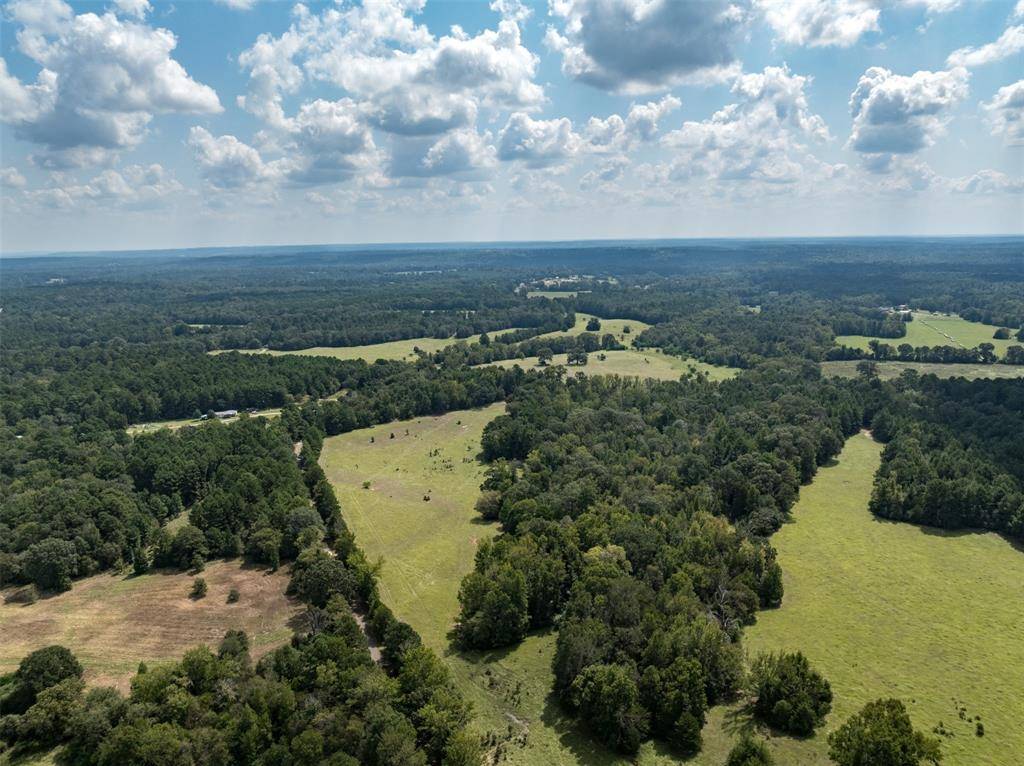 Palestine, TX 75801,Tract 5 An County Road 153