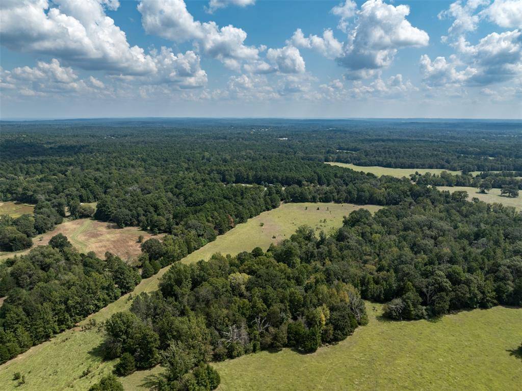 Palestine, TX 75801,Tract 5 An County Road 153