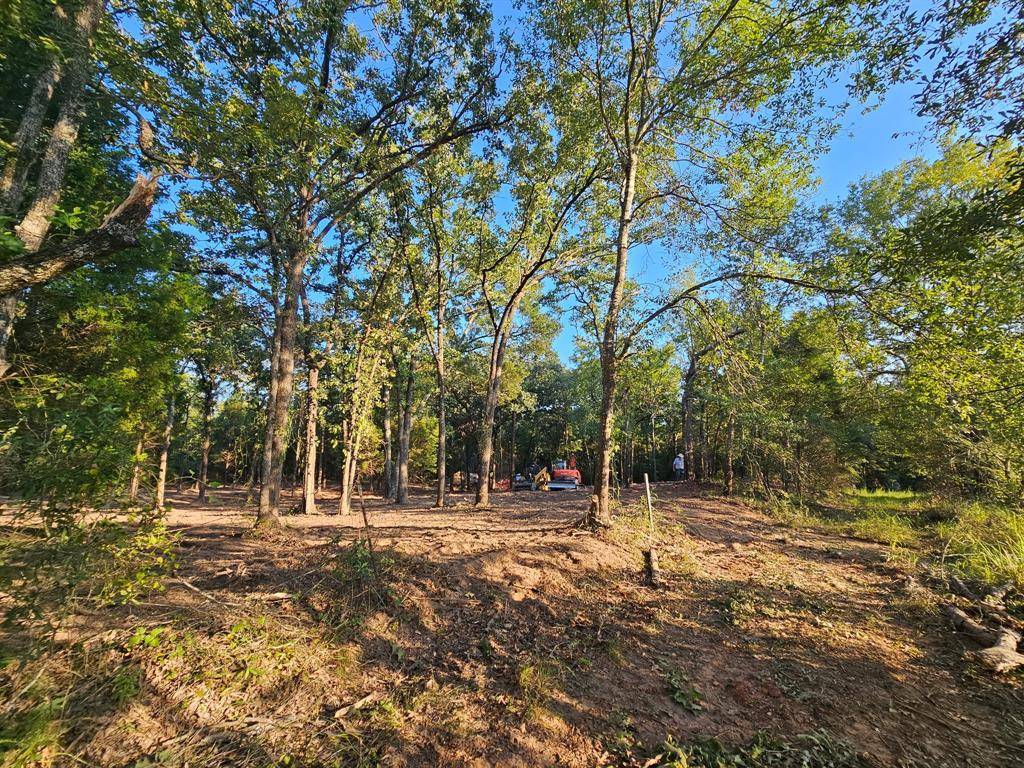 Malakoff, TX 75148,0 S Pennsylvania Street