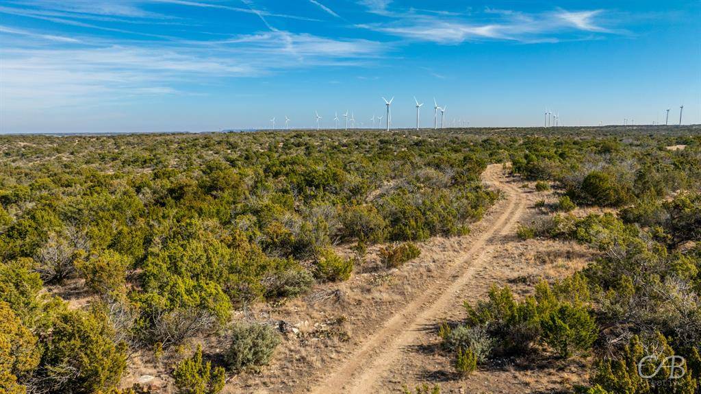 Roscoe, TX 79545,TBD CR 296