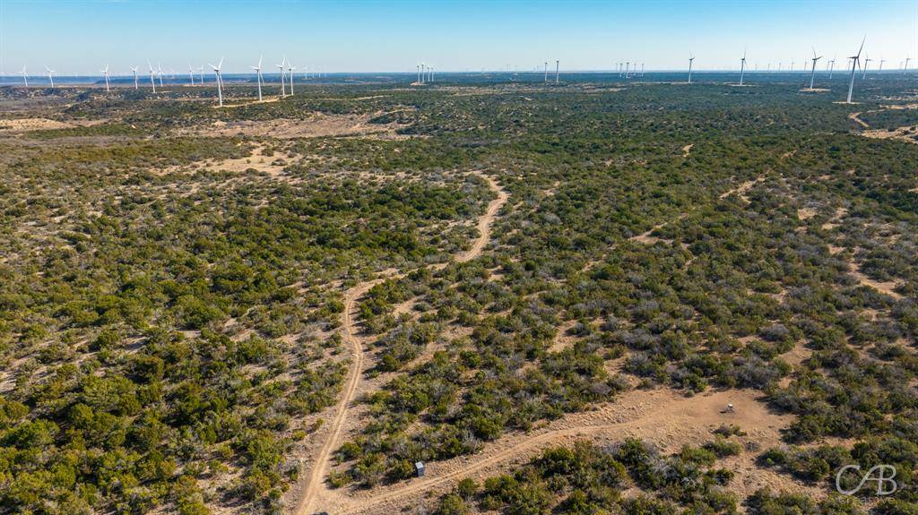 Roscoe, TX 79545,TBD CR 296