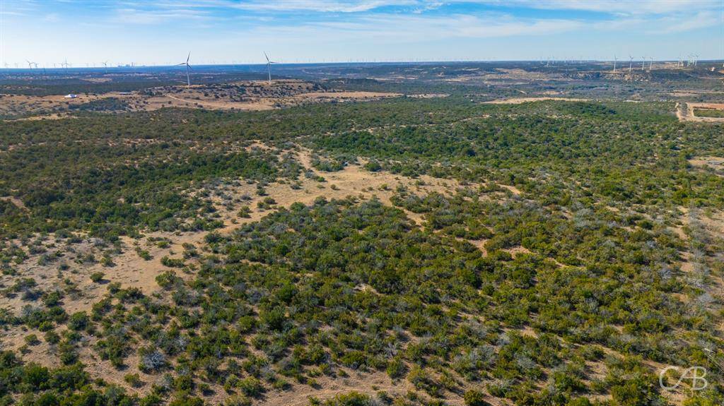 Roscoe, TX 79545,TBD CR 296