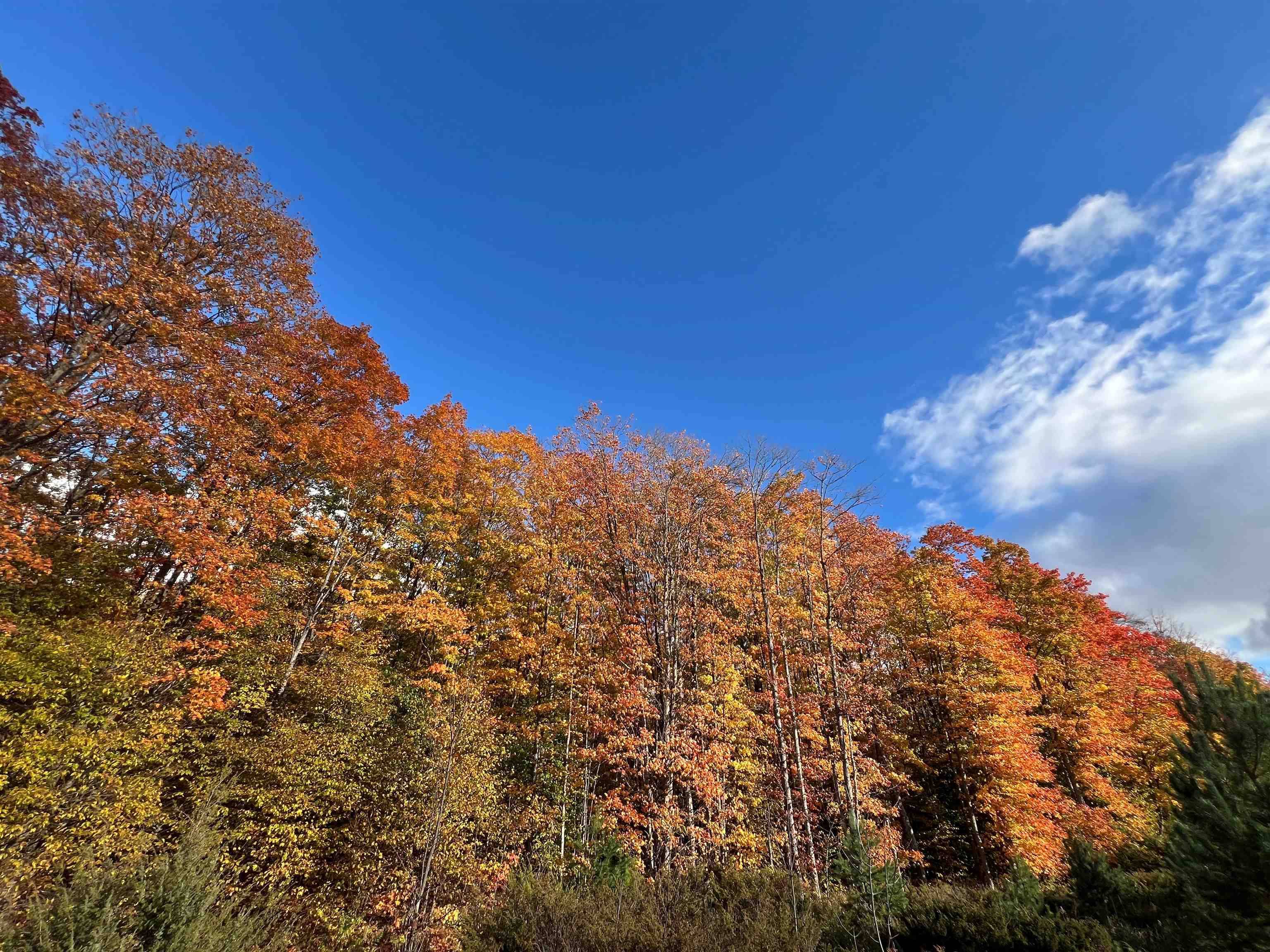 Boyne City, MI 49712,TBD Old Horton Bay RD