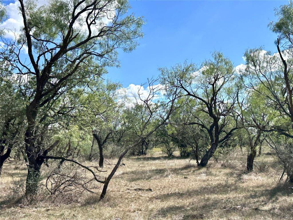 Abilene, TX 79601,TBD TBA County Road 100