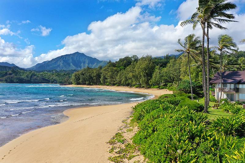 Hanalei, HI 96722,5-7130 KUHIO HWY #J3 Dec/Jan - #1