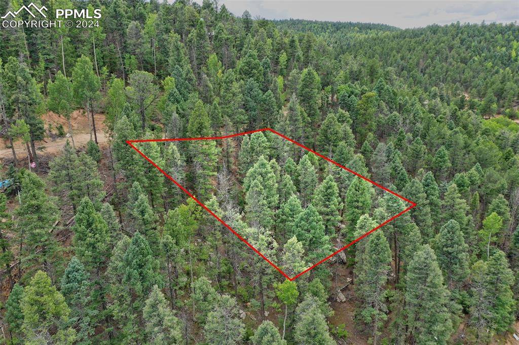 Woodland Park, CO 80863,251 Osoeola RD