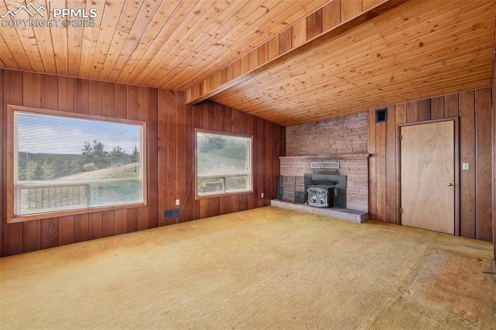 Woodland Park, CO 80863,150 Apache TRL