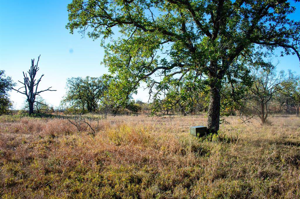 San Saba, TX 76871,3300 FM 45