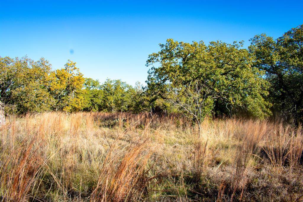 San Saba, TX 76871,3300 FM 45