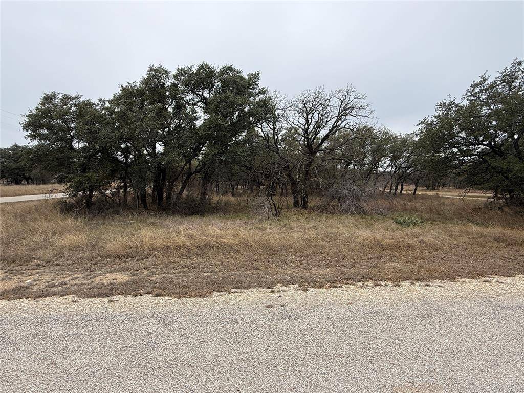 Brownwood, TX 76801,TBD 920 Safe Harbor Drive