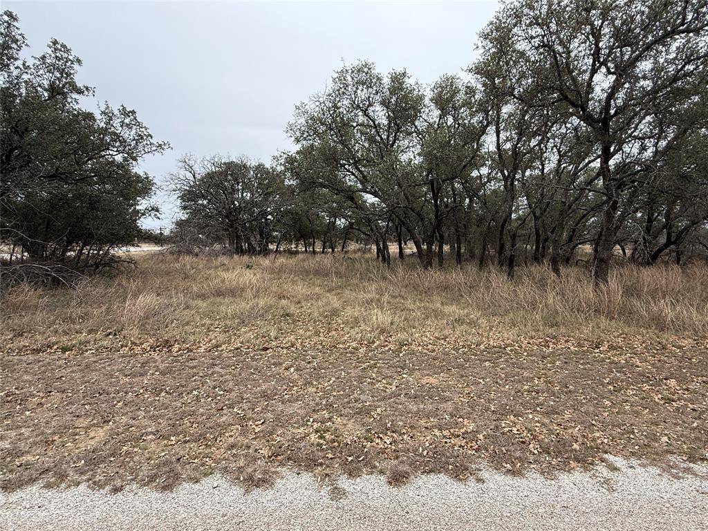 Brownwood, TX 76801,TBD 920 Safe Harbor Drive