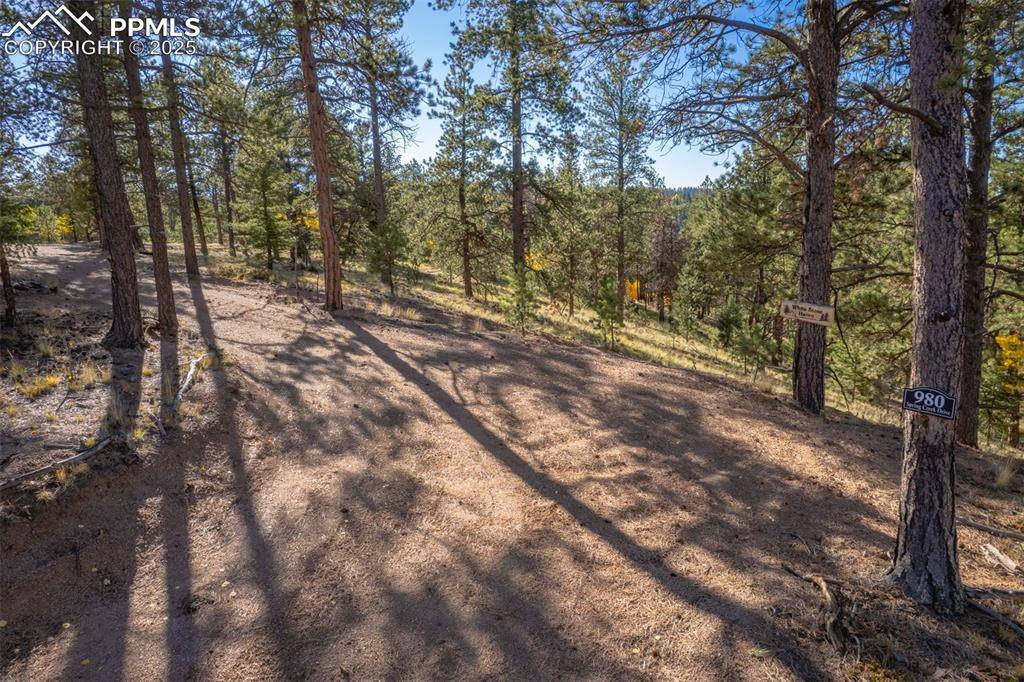 Divide, CO 80814,980 Spring Creek DR