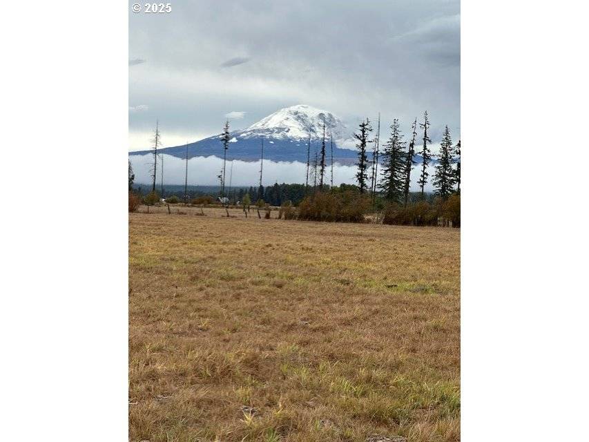 247 Troh Lane, Glenwood, WA 98619