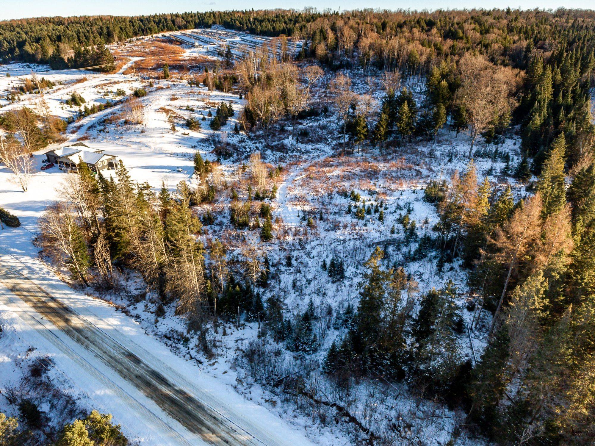 Armour, ON P0A 1C0,223 Peggs Mountain RD