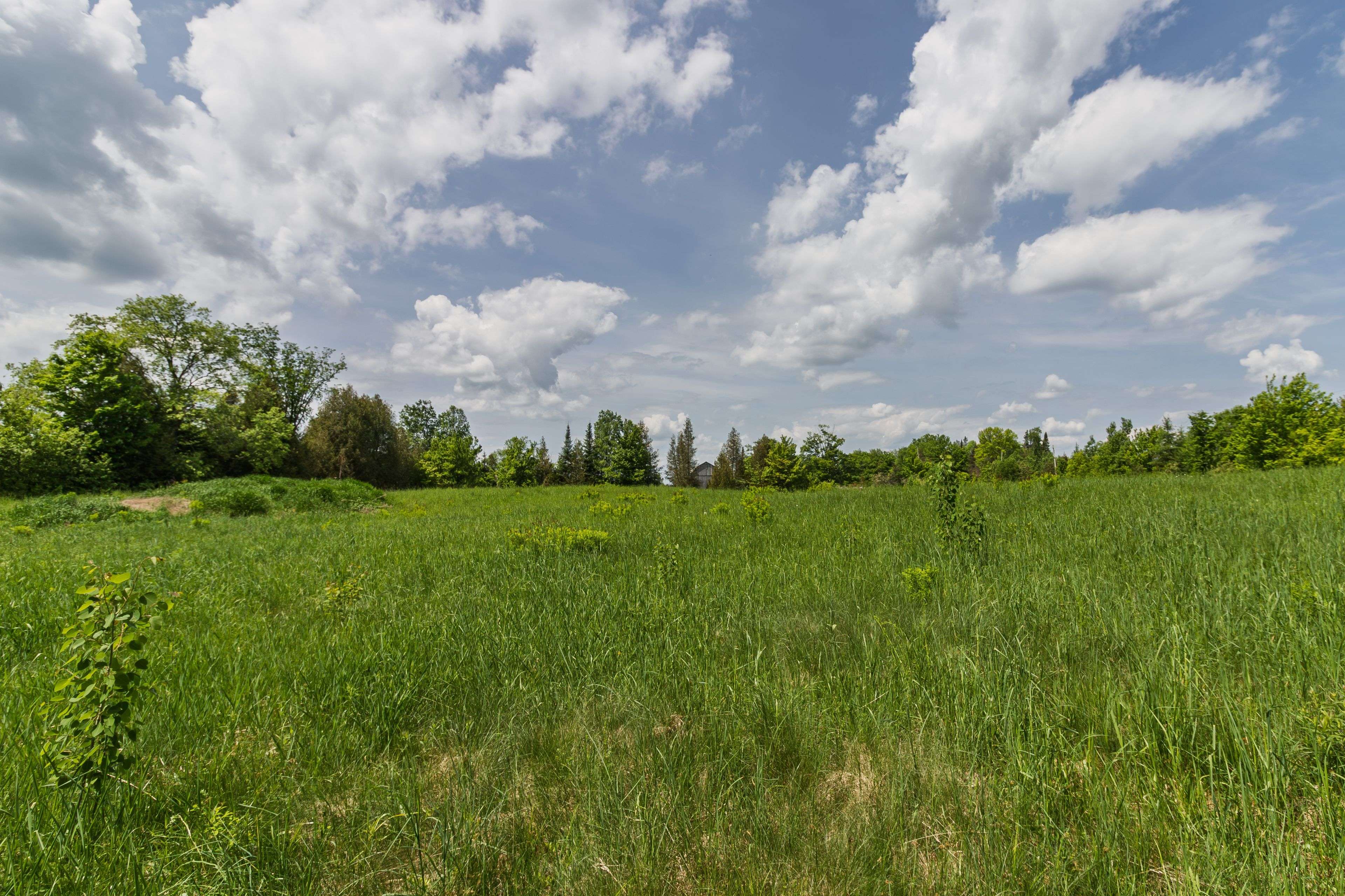 Highlands East, ON K0L 2Y0,0 Highway 118 N/A