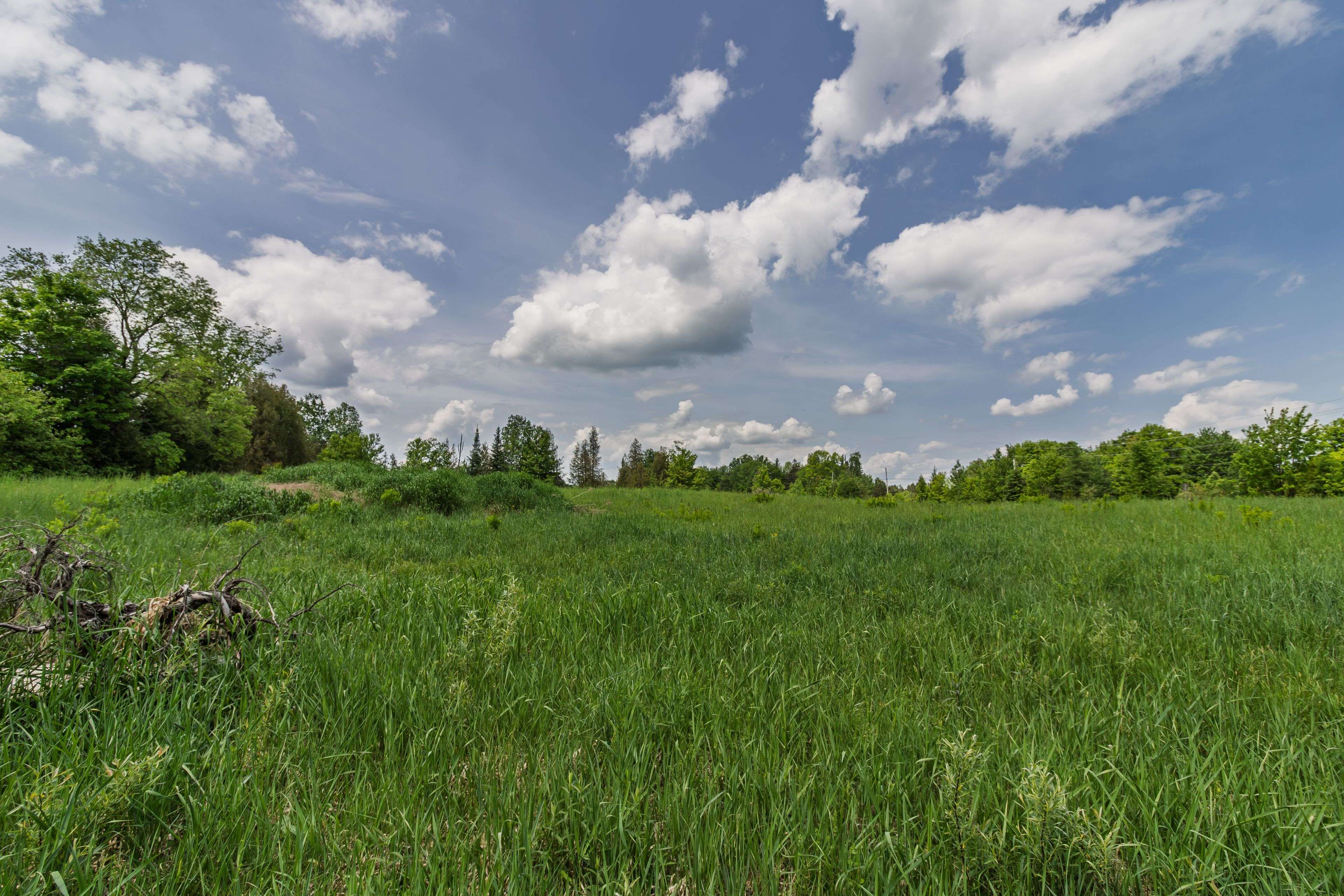 Highlands East, ON K0L 2Y0,0 Highway 118 N/A