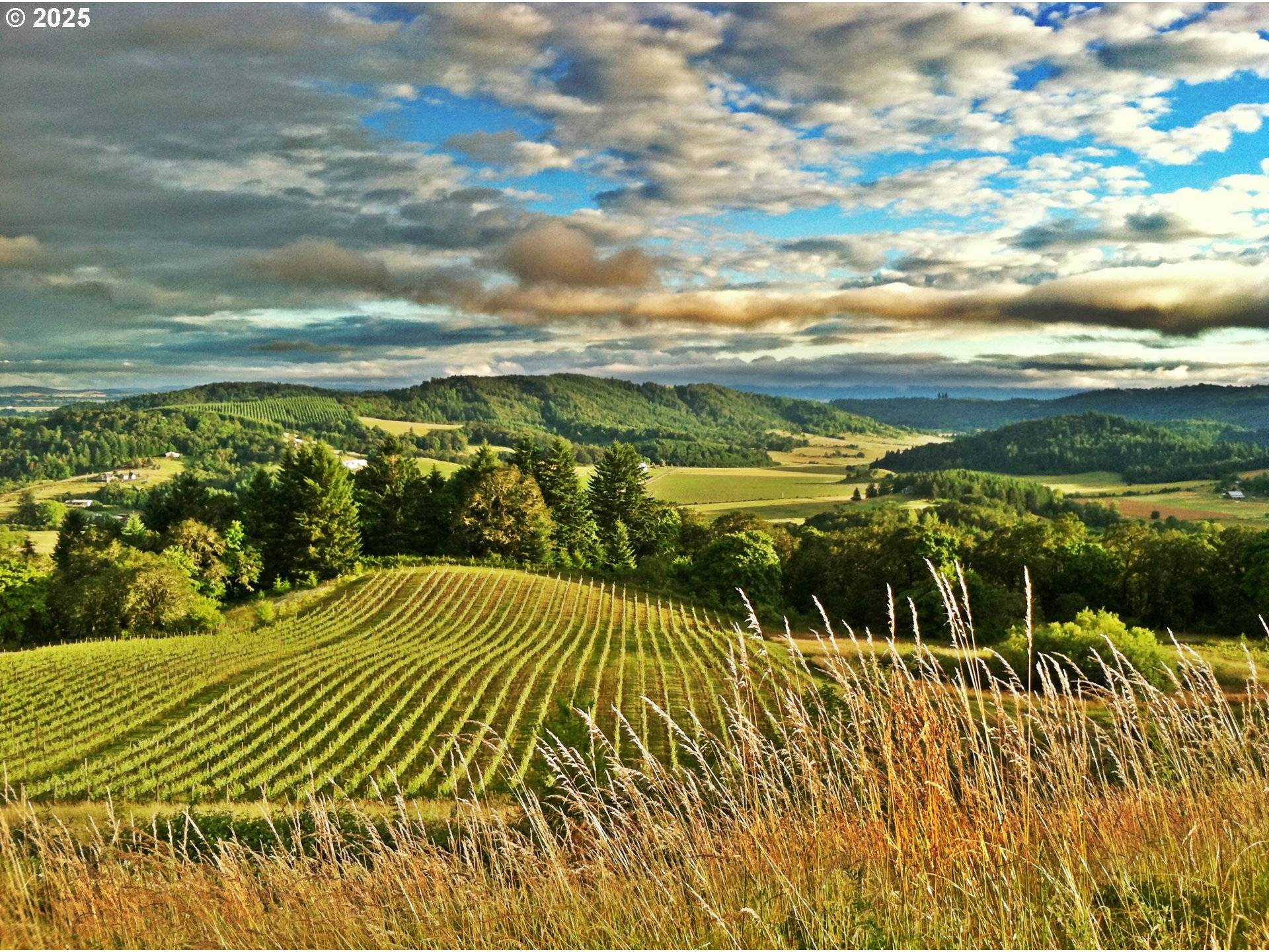 Mc Minnville, OR 97128,10660 SW YOUNGBERG HILL RD