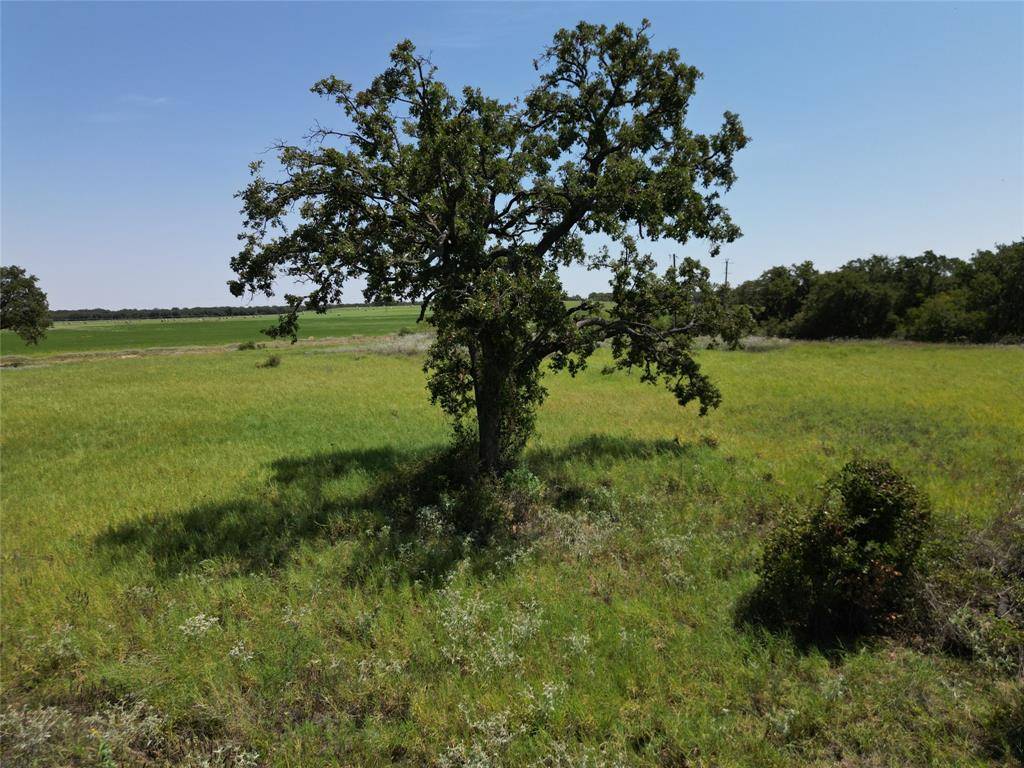 Rising Star, TX 76471,1211 County Road 226