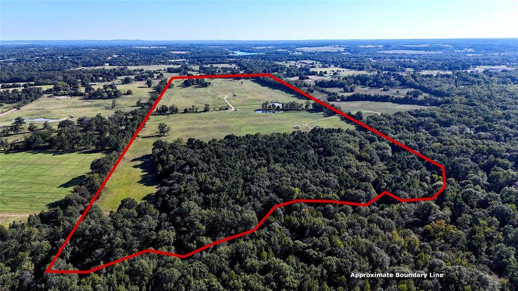 Murchison, TX 75778,10769 County Road 3519