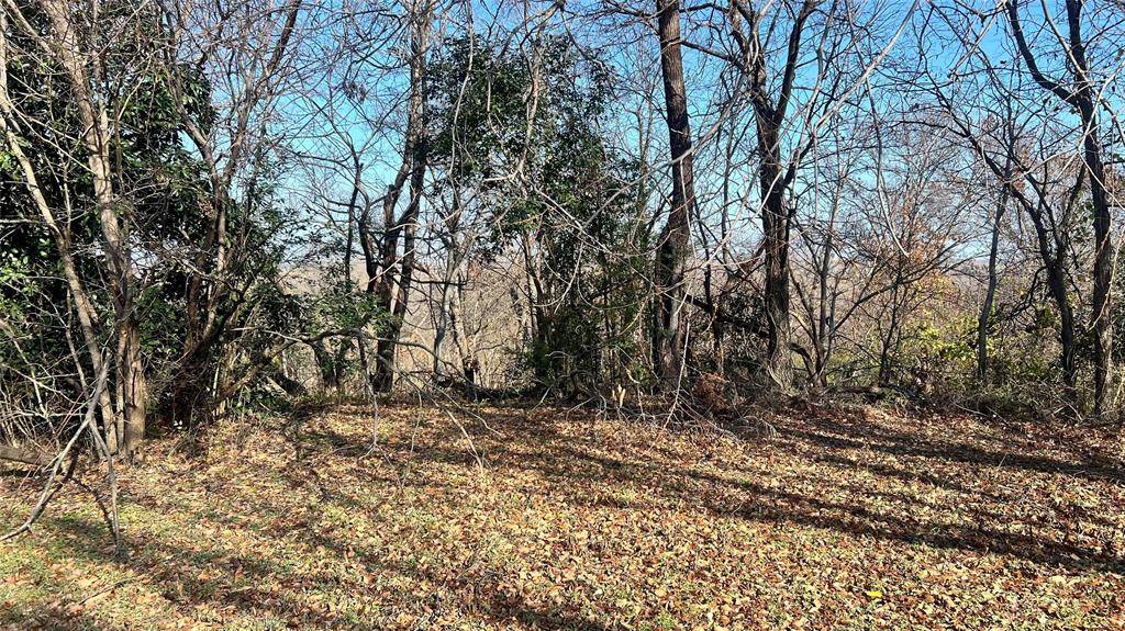 Dallas, TX 75216,2304 Bonnie View Road