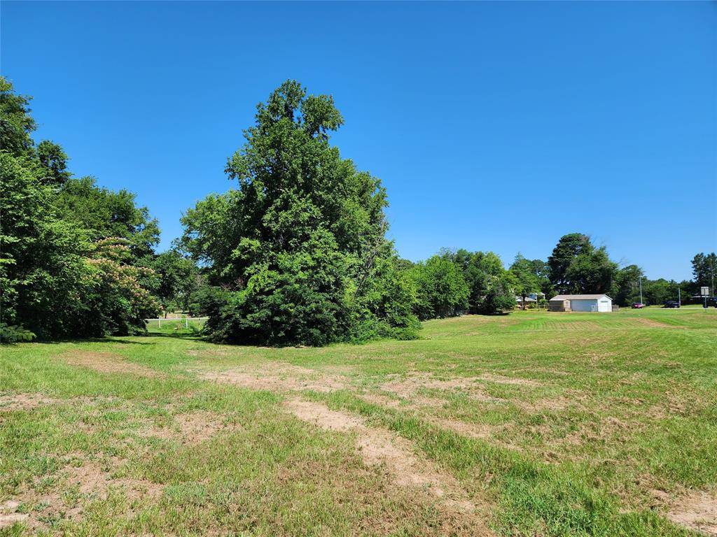 Mineola, TX 75773,TBD Greenville Highway