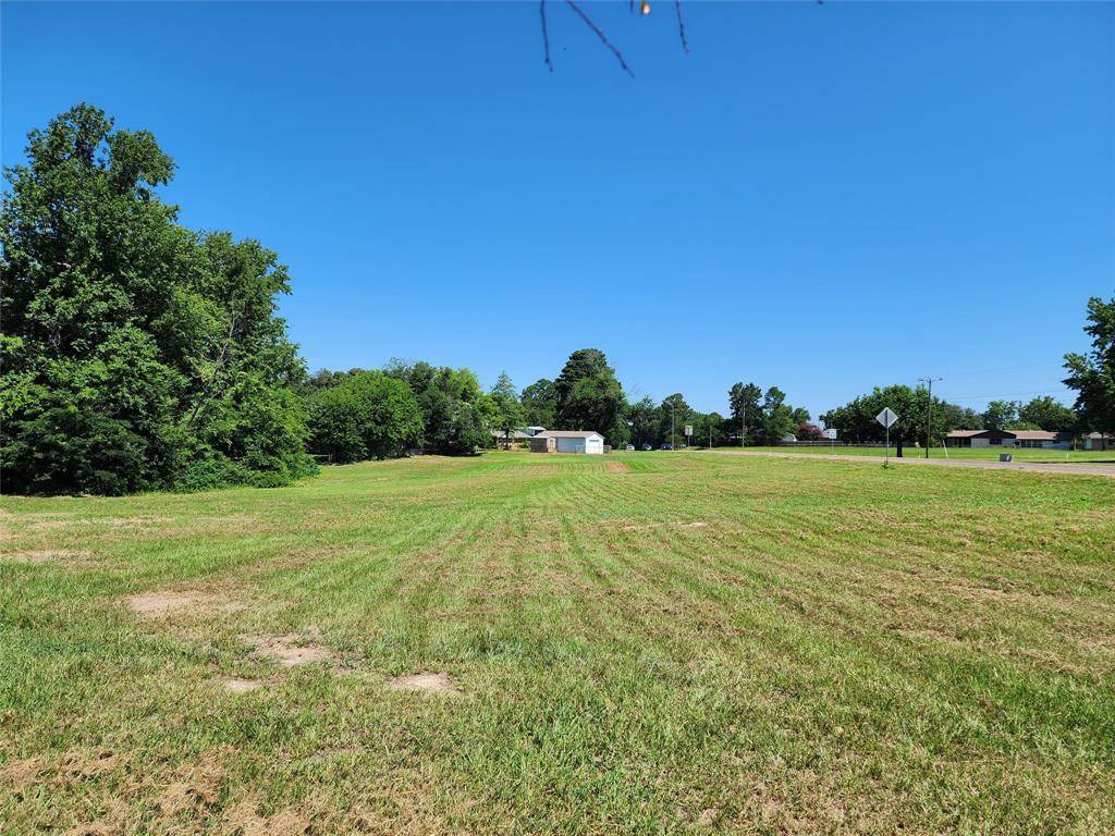 Mineola, TX 75773,TBD Greenville Highway