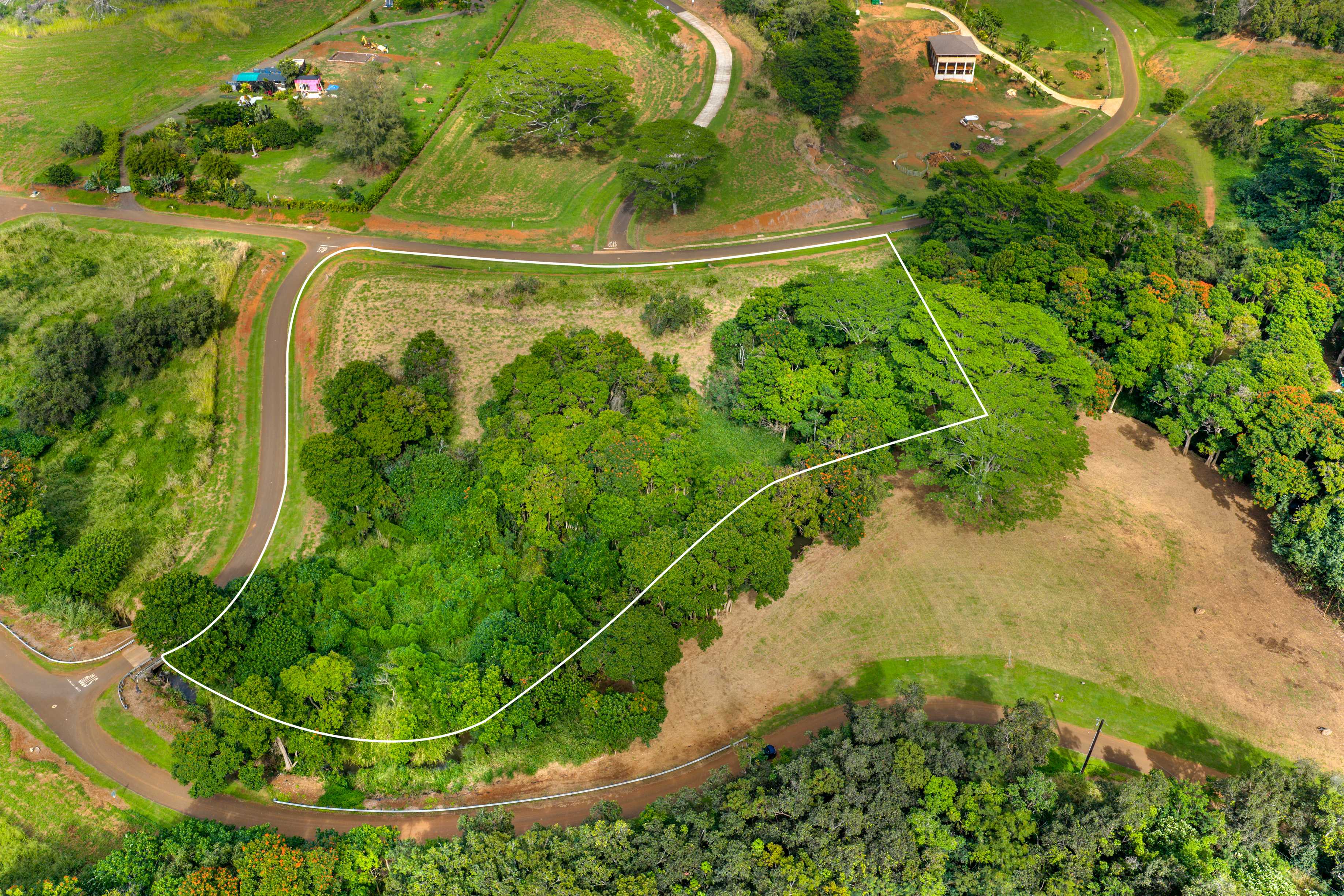 Kapaa, HI 96746,#19A