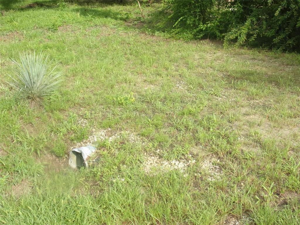 Murchison, TX 75778,187 Holly Lane