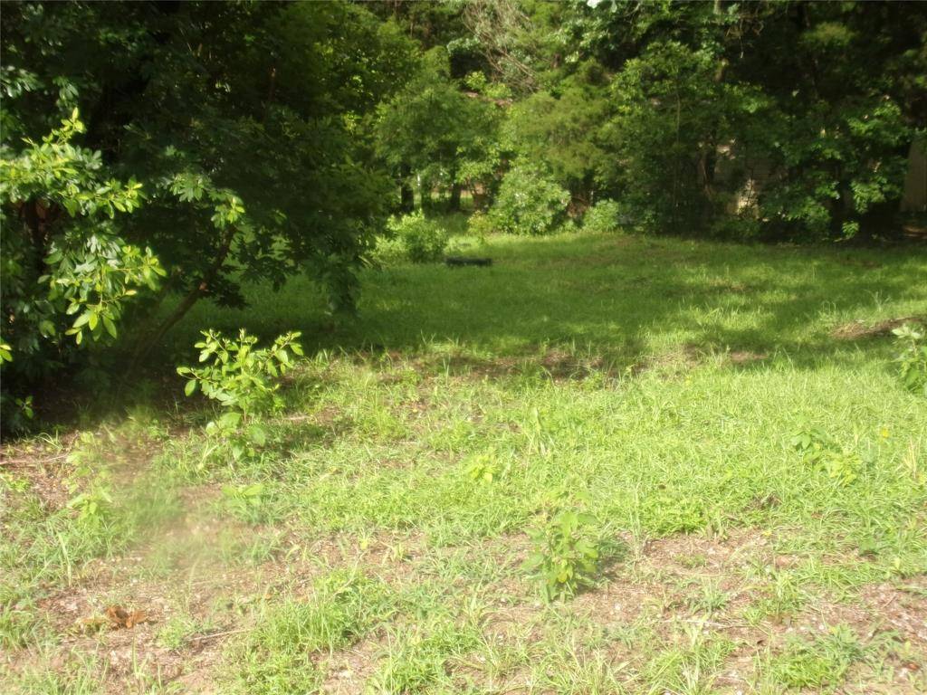 Murchison, TX 75778,187 Holly Lane