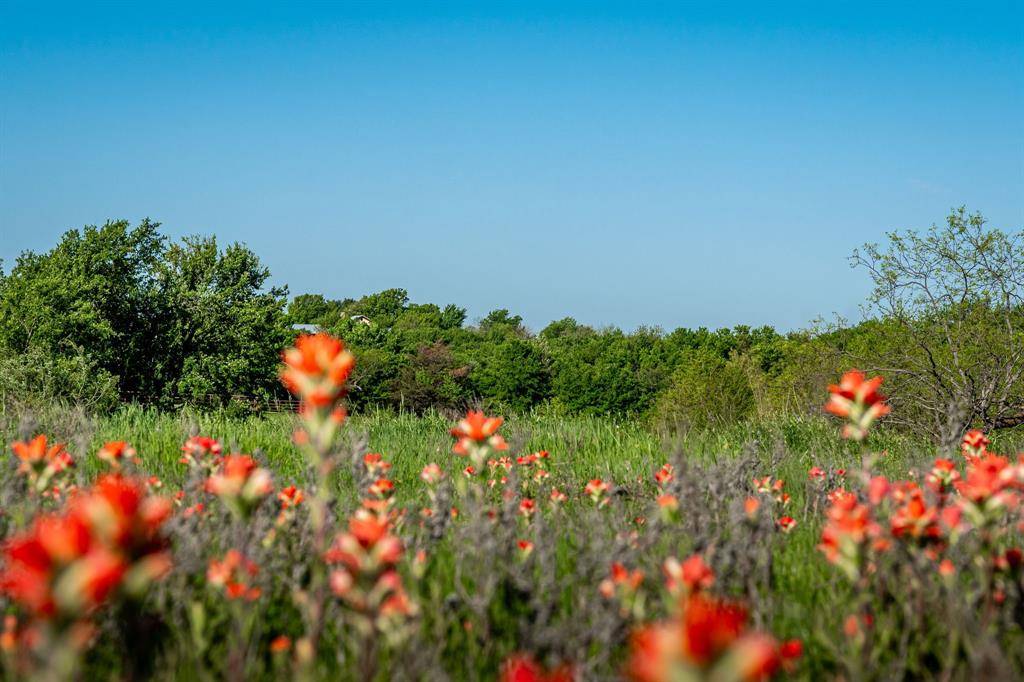 Valley View, TX 76272,1451 Hemming Road