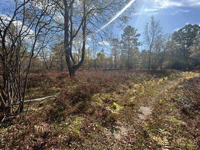 Fife Lake, MI 49633,11570 Behlke RD