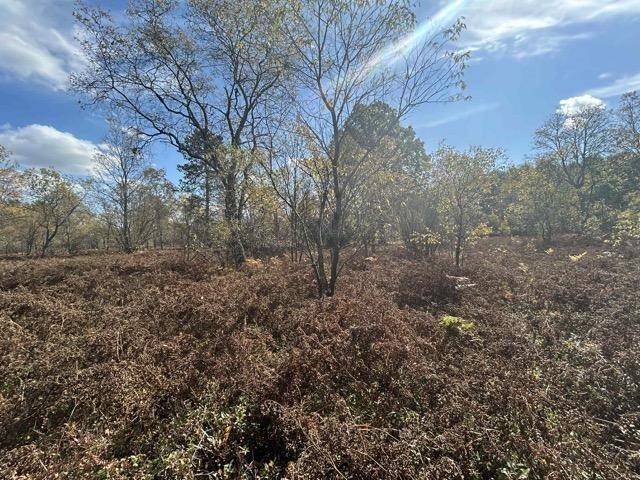 Fife Lake, MI 49633,11570 Behlke RD