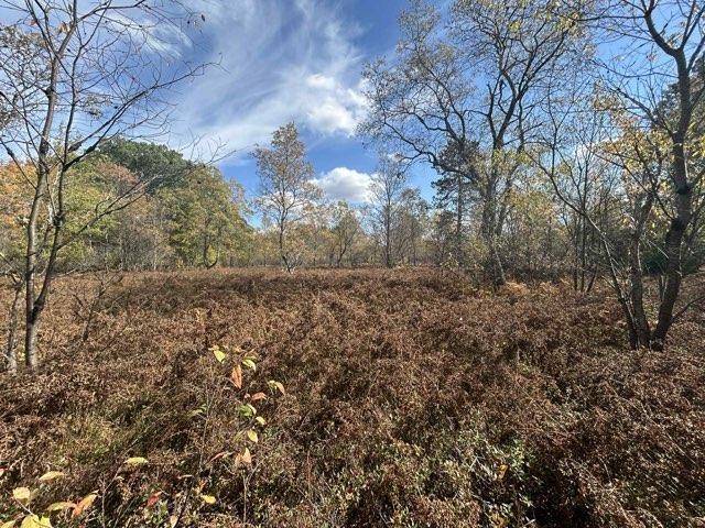 Fife Lake, MI 49633,11570 Behlke RD