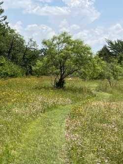 Balch Springs, TX 75180,4708 Pioneer Road