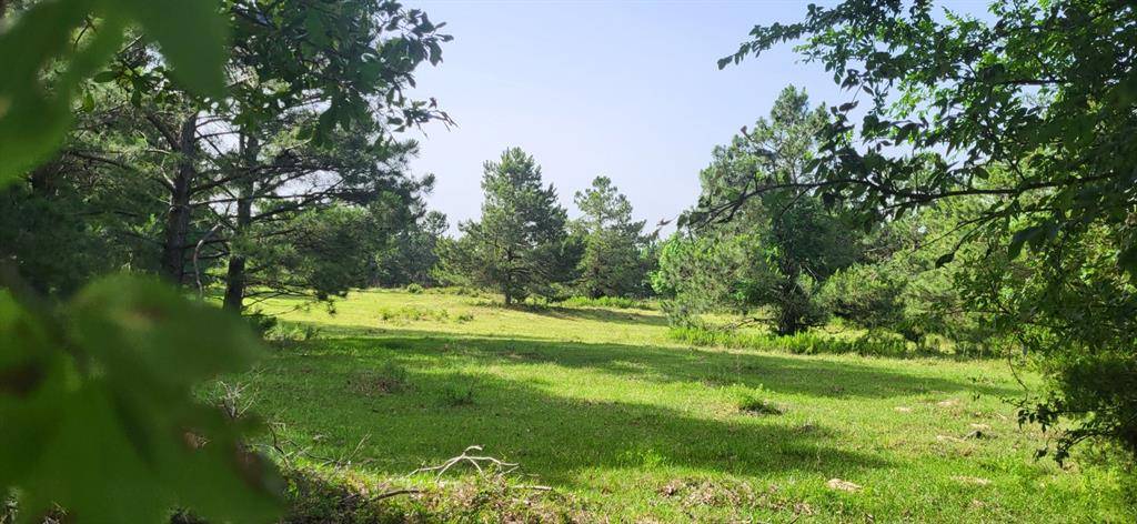 Sulphur Springs, TX 75482,TBD CR 1176