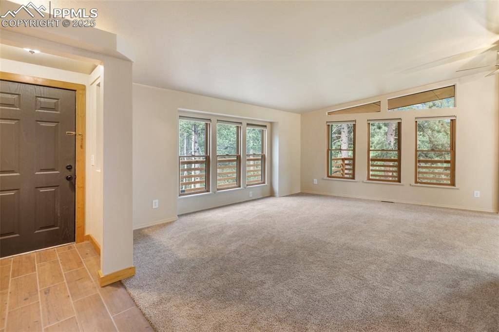 Florissant, CO 80816,534 Poncha Creek TRL