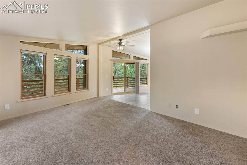 Florissant, CO 80816,534 Poncha Creek TRL