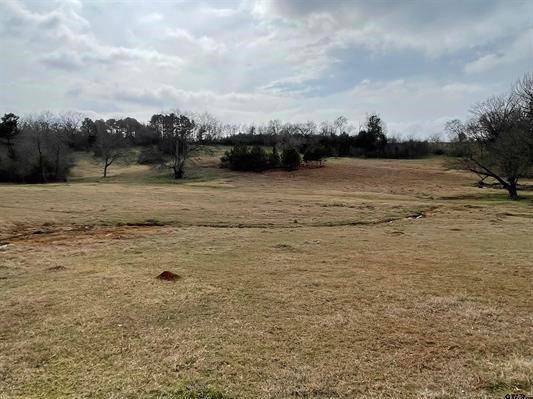 Bullard, TX 75757,101 CR 3504