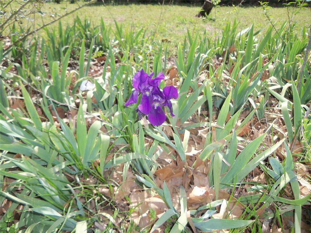 Hubbard, TX 76648,307 NE 5th Street