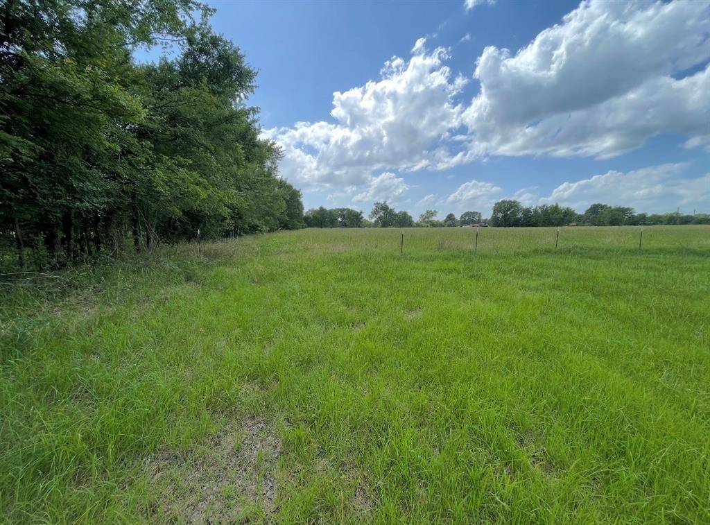 Emory, TX 75440,Lot 7 RS County Road 3425