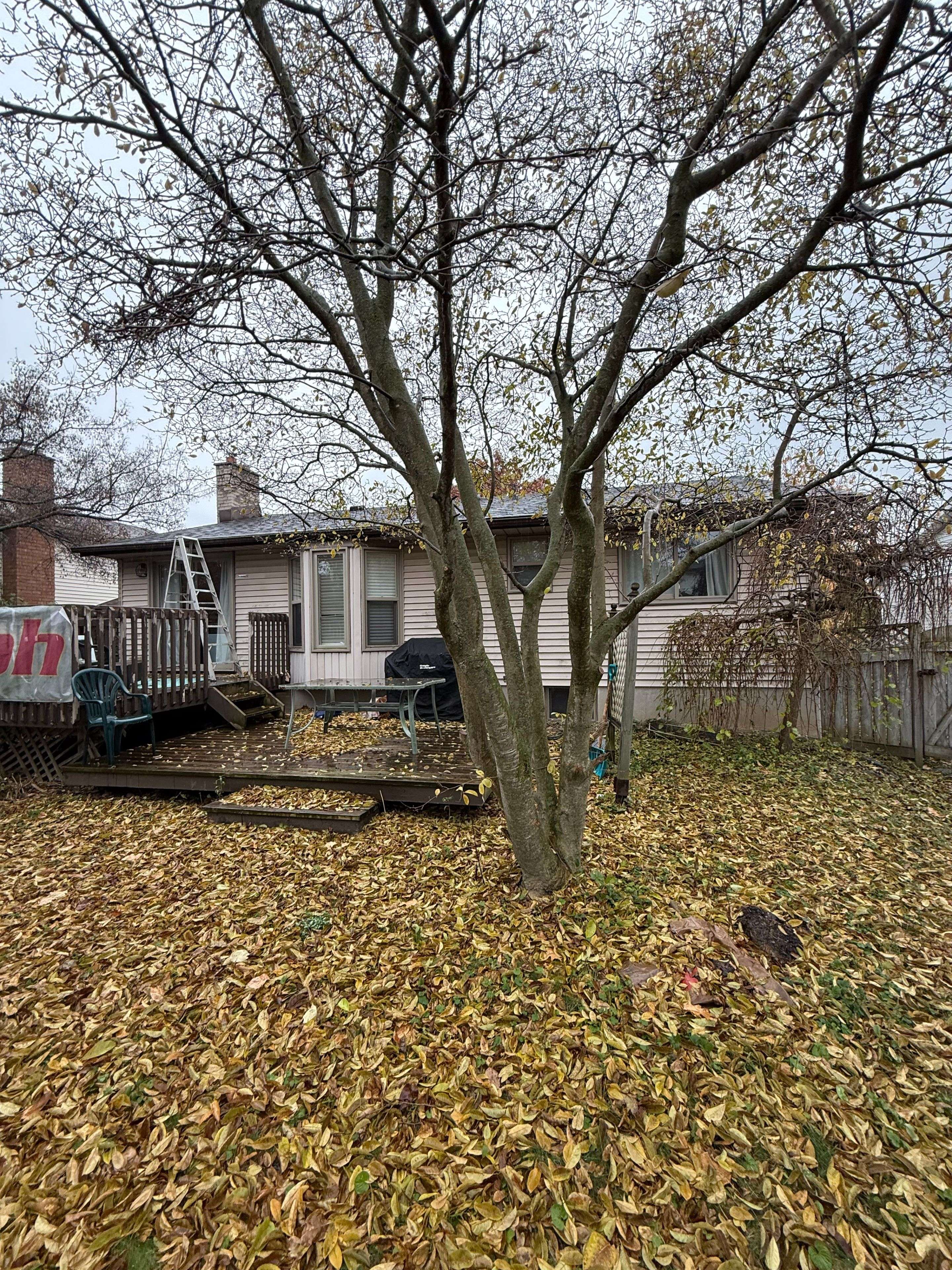 Guelph, ON N1G 4M2,6 Brazolot DR