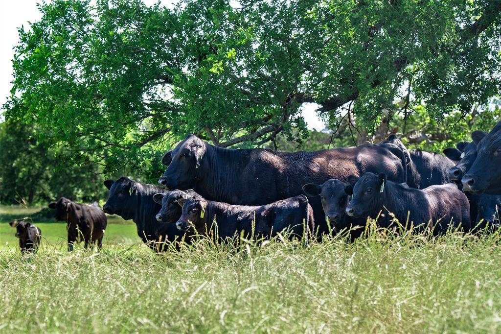 Flower Mound, TX 75022,5200 Cross Timbers Road