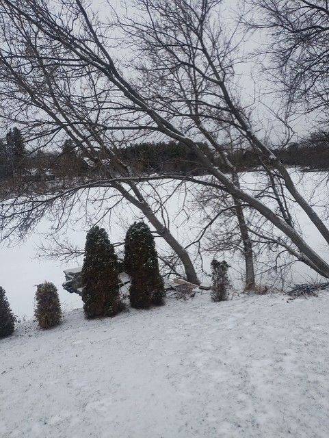 Belleville, ON K0K 2V0,81 Scuttlehole Rd RD