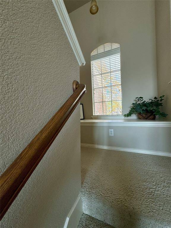 Frisco, TX 75035,11821 Chaucer Drive