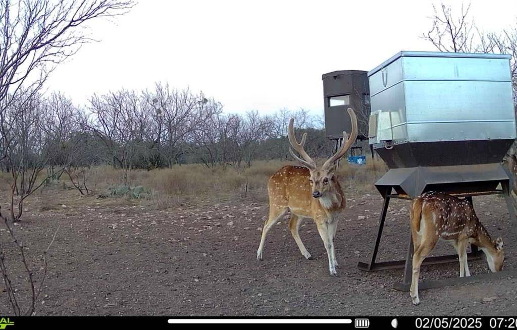 Melvin, TX 76858,371 Axis Court