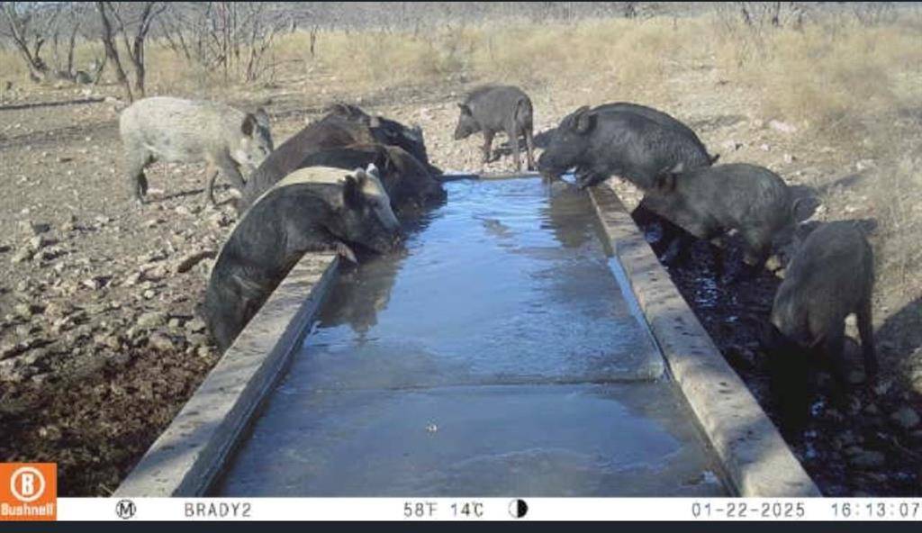 Melvin, TX 76858,371 Axis Court