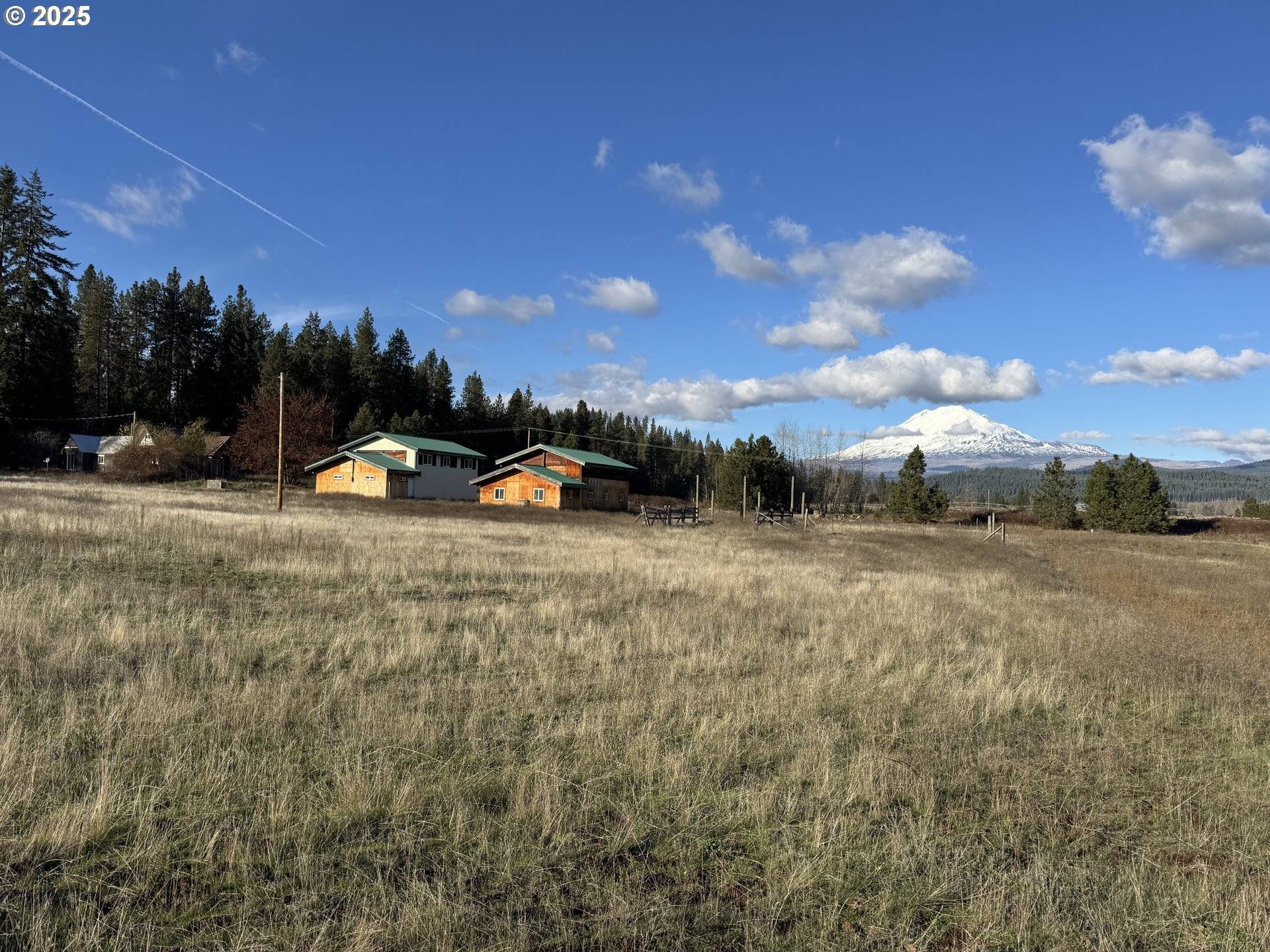 Trout Lake, WA 98650,343 LITTLE MOUNTAIN RD