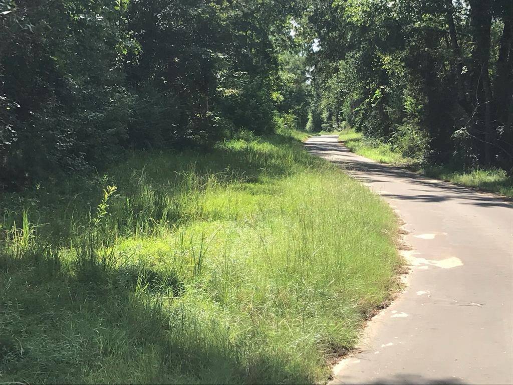 Linden, TX 75563,TBD S Hwy 59 Highway